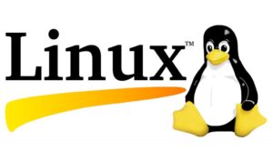 Read more about the article Maple Signage player is now supported by Linux